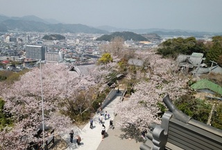 20190406114346_p.jpg