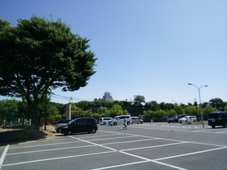 IMG_20170604_091358.jpg