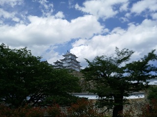 IMG_20170604_140428.jpg